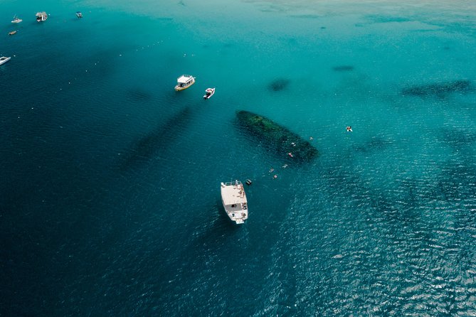 Harbour Lights-Chair &Turtle Shipwreck Snorkel Tour(10:30-1:30pm) - Turtle watching without a guarantee