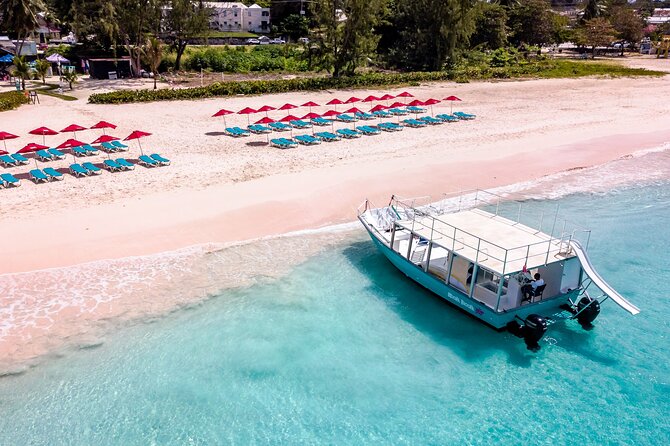 Harbour Lights-Chair &Turtle Shipwreck Snorkel Tour(10:30-1:30pm) - Equipment, safety, and help in the water