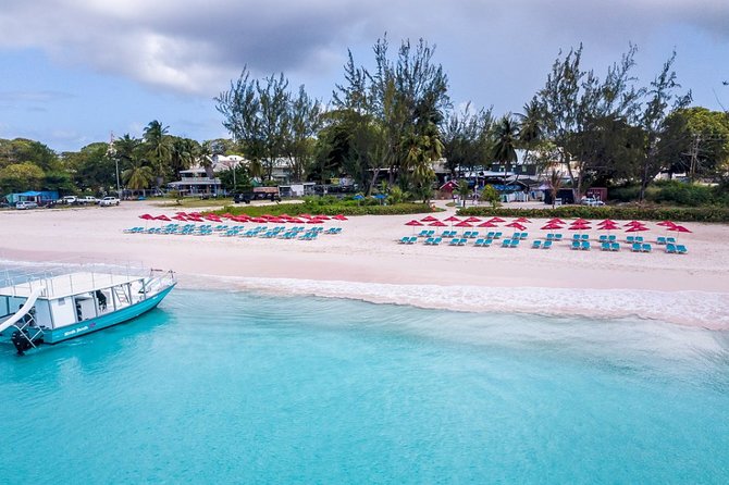 Harbour Lights-Chair &Turtle Shipwreck Snorkel Tour(10:30-1:30pm) - What the 45 minutes really feels like