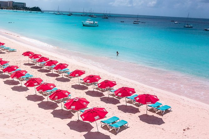 Harbour Lights-Chair &Turtle Shipwreck Snorkel Tour(10:30-1:30pm) - Is $39.50 a good value?