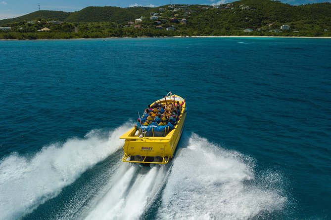 High Speed Harbor Tour from Charlotte Amalie Cruise Port - Who should book this boat?
