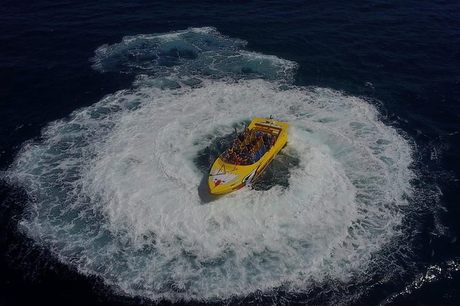 High Speed Harbor Tour from Charlotte Amalie Cruise Port - Cruise-port timing and practical planning
