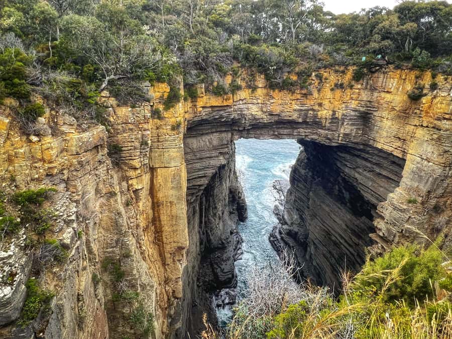Hobart: Port Arthur, Harbor Cruise and Isle of the Dead Tour - How the $134 price holds up