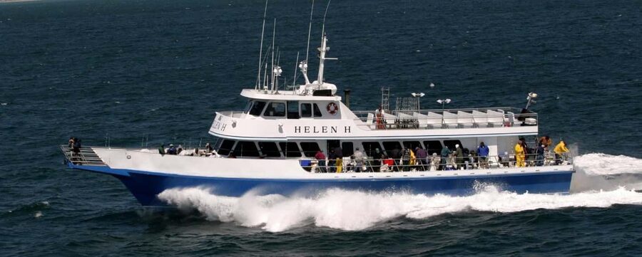 Hyannis: Luau Sunset Cruise in Hyannis Harbor - Key points to know before booking