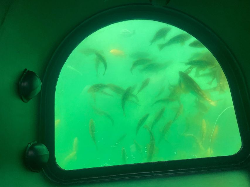 Long Beach: Glass Bottom Boat Harbor Ecotour - A useful family activity near the Aquarium of the Pacific