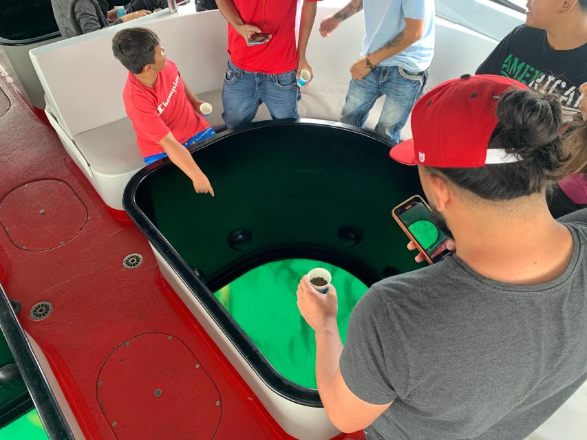 Long Beach: Glass Bottom Boat Harbor Ecotour - Why the port setting adds value