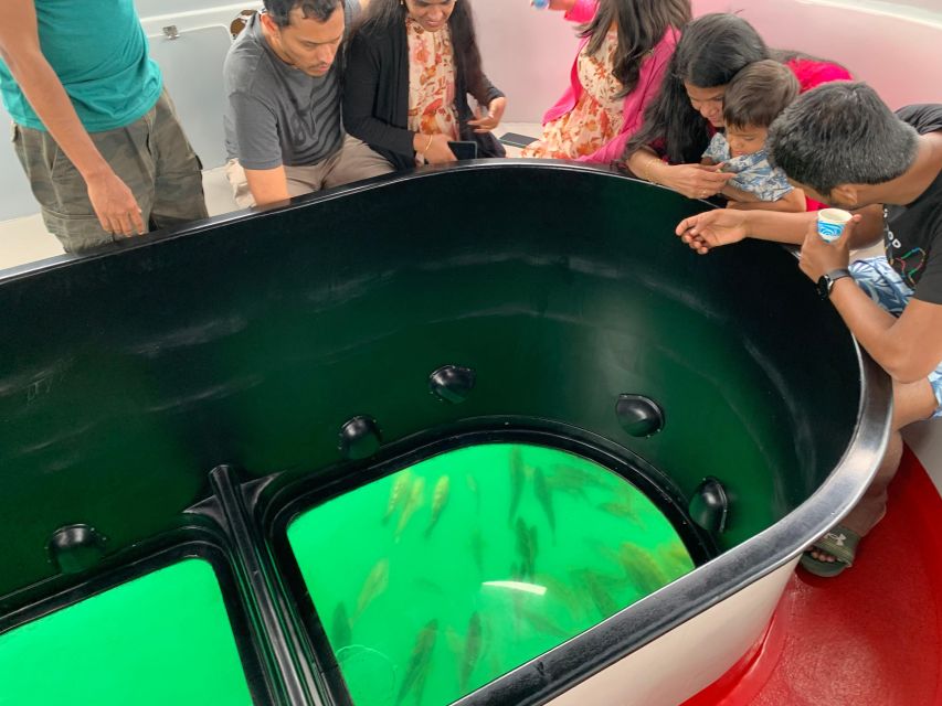 Long Beach: Glass Bottom Boat Harbor Ecotour - Guides, language, and the pace on board