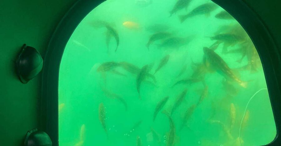 Long Beach: Glass Bottom Boat Harbor Ecotour - What the one-hour route feels like