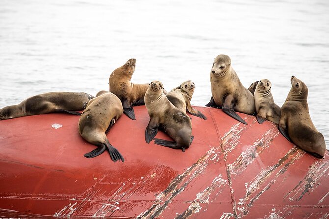 Long Beach Harbor 45-Minute Boat Tour - Key points to know before boarding