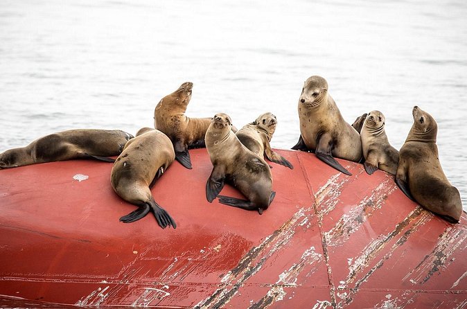 Long Beach Harbor 45-Minute Boat Tour - The breakwater and Long Beach’s protected harbor