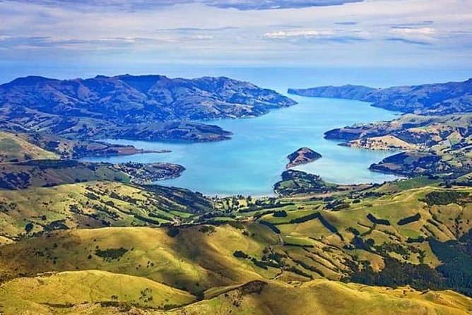 Lyttelton Shore Excursion: Twin Harbour Tour (Lyttelton & Akaroa) - Key points to know before booking