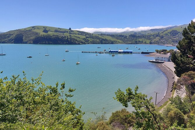 Lyttelton Shore Excursion: Twin Harbour Tour (Lyttelton & Akaroa) - Lyttelton pickup and the port shuttle issue