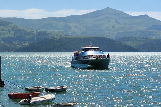 Lyttelton Shore Excursion: Twin Harbour Tour (Lyttelton & Akaroa) - Weather, wildlife, and realistic expectations