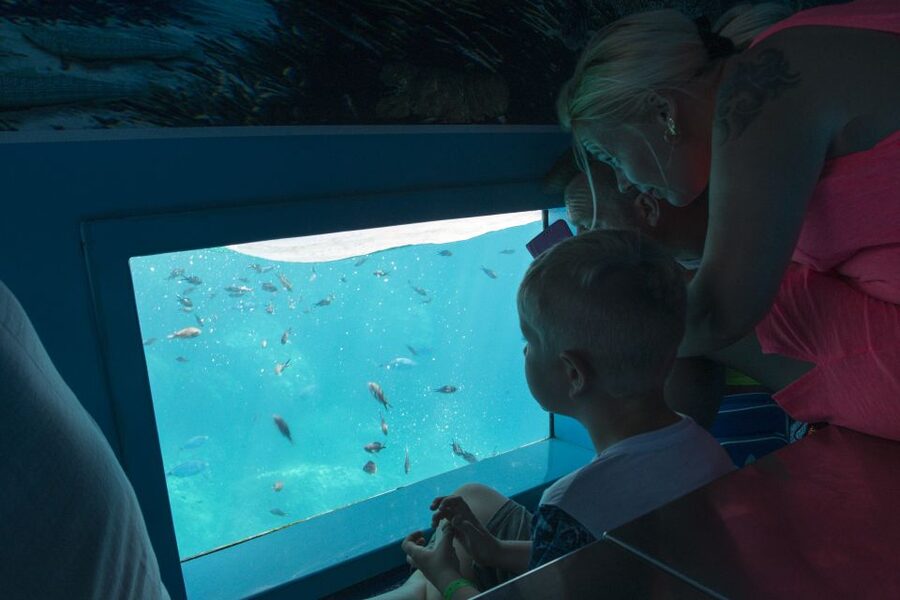 Mahon: Harbor Boat Tour with Underwater Viewing & Commentary - The underwater viewing cabin: treat it as a bonus