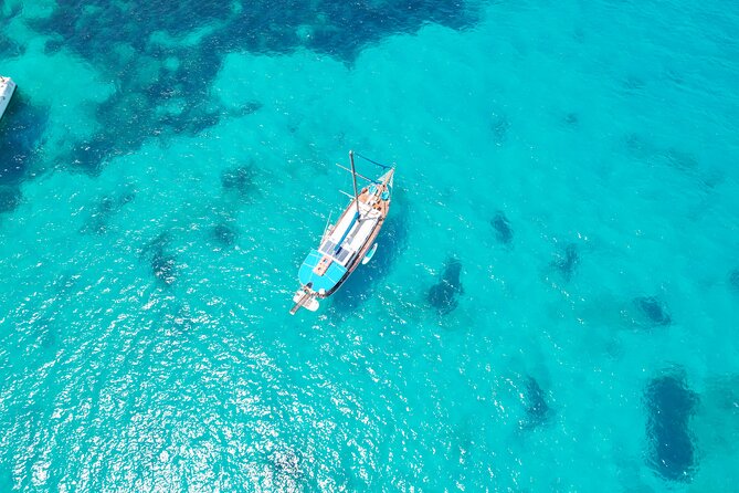 Malta: 3 Bay Cruise to Selmun Bay, Blue Lagoon and Gozo - Who will enjoy this day most