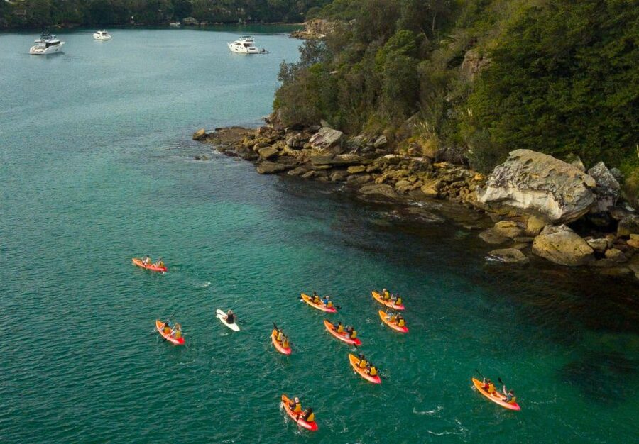 Manly: Mini Kayak Tour on Sydney's North Harbour - What the guide adds
