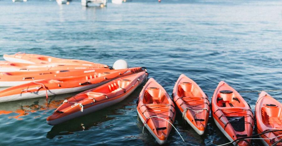 Manly: Mini Kayak Tour on Sydney's North Harbour - Meeting at West Esplanade