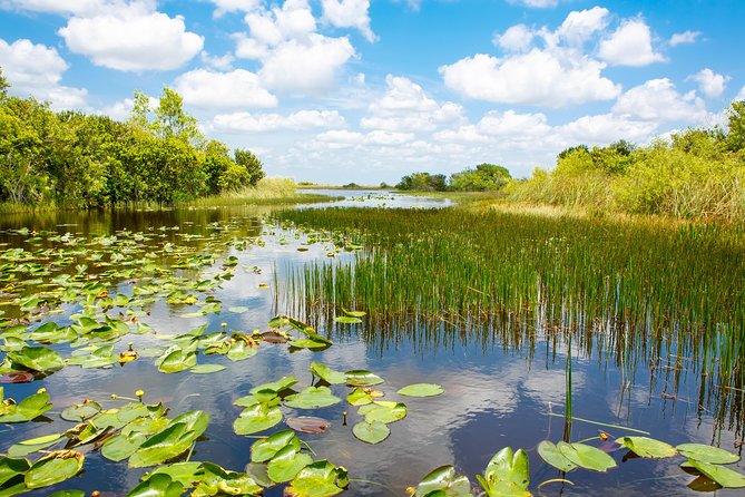 Miami and Everglades Adventure: Airboat & Bay Cruise Combo - Returning to Miami and finding the bay cruise