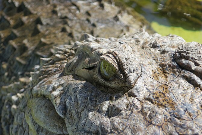 Miami and Everglades Adventure: Airboat & Bay Cruise Combo - Biscayne Bay, Miami skyline, and Millionaire’s Row