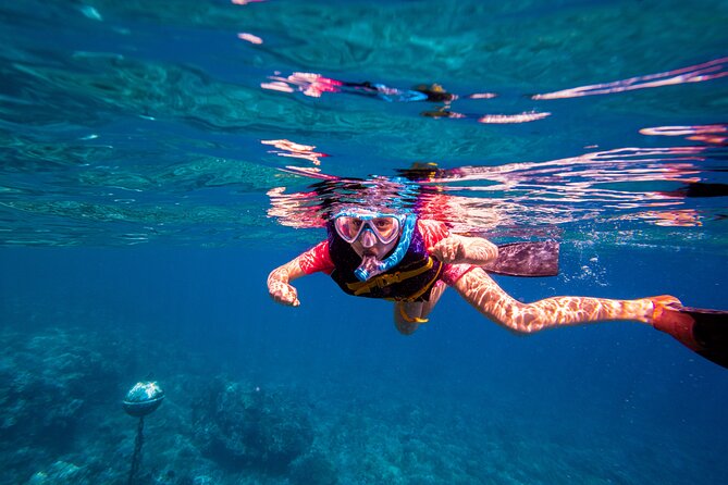 Molokini Snorkel and Performance Sail: Mā’alaea Harbor - Whale season and the wildlife bonus