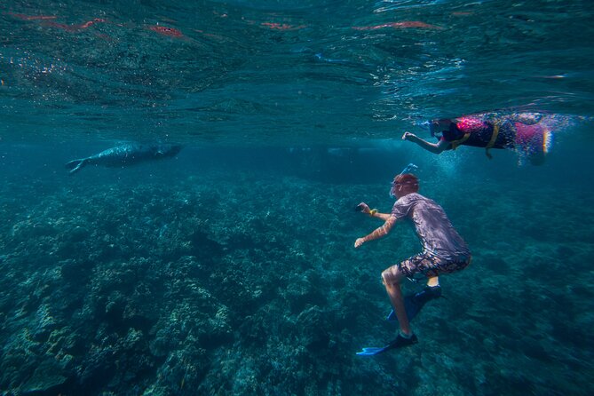 Molokini Snorkel and Performance Sail: Mā’alaea Harbor - How the $200 price compares