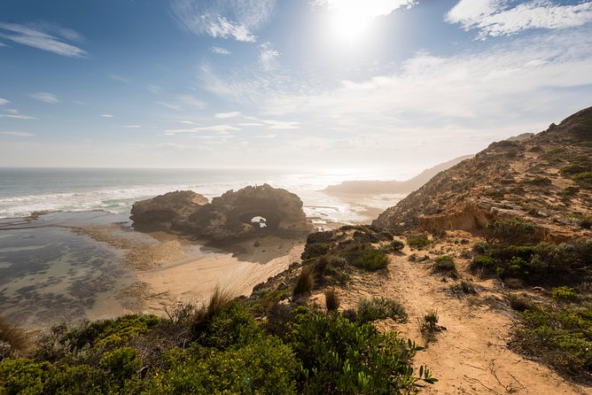 Mornington Peninsula Sightseeing and Bay Cruise - Sorrento, the ferry, and the two-hour bay crossing