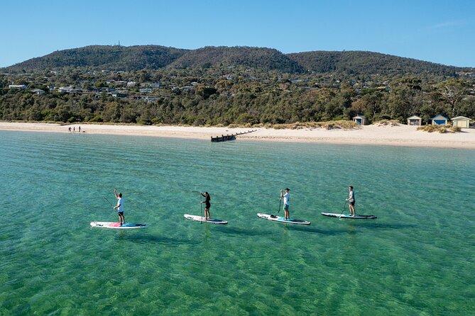 Mornington Peninsula Sightseeing and Bay Cruise - Seasonal strawberry picking from November to April