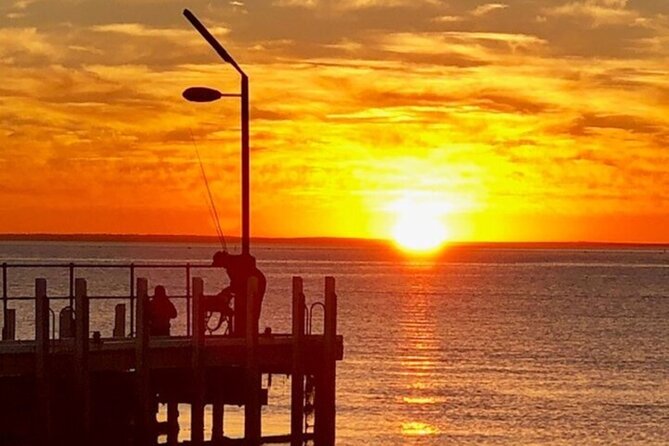 Mornington Peninsula Sightseeing and Bay Cruise - What $121.21 includes, and what it does not