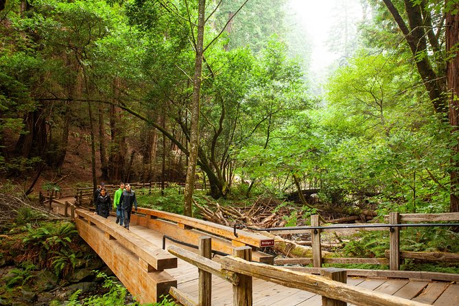 Muir Woods and Sausalito Tour Plus Bay Cruise - North Vista Point and the Golden Gate Bridge