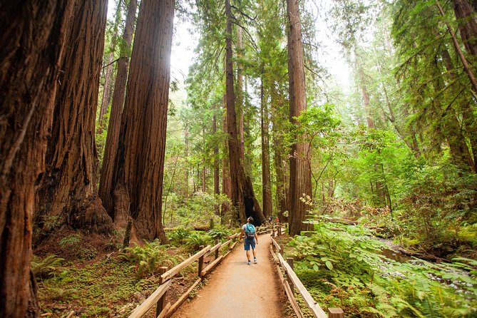 Muir Woods and Sausalito Tour Plus Bay Cruise - Sausalito in one hour
