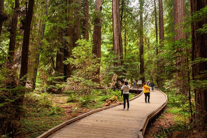 Muir Woods and Sausalito Tour Plus Bay Cruise - Pier 39 and the one-hour Bay Cruise