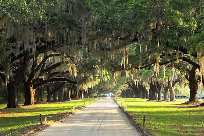 Myrtle Beach to Charleston with Horse & Carriage Ride, Harbor Cruise, Boone Hall - A horse-drawn introduction to historic Charleston