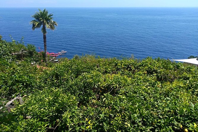 Naples port tour Sorrento and pompeii and overview of positano - Pompeii: the day’s most important stop