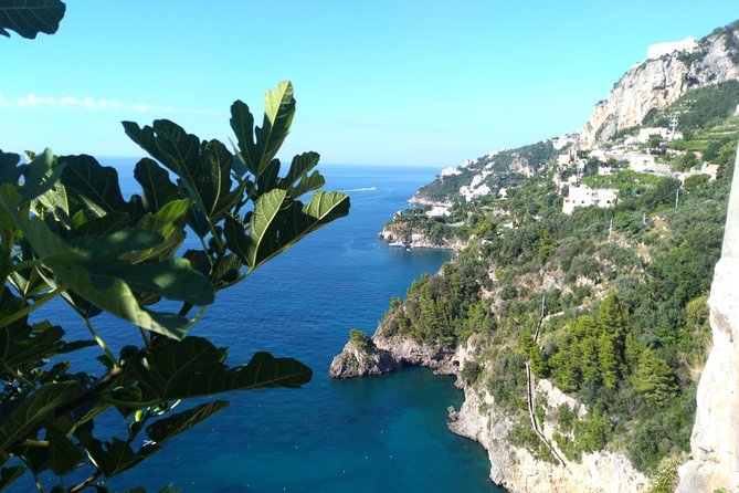 Naples port tour Sorrento and pompeii and overview of positano - The Amalfi Coast and the Positano viewpoint