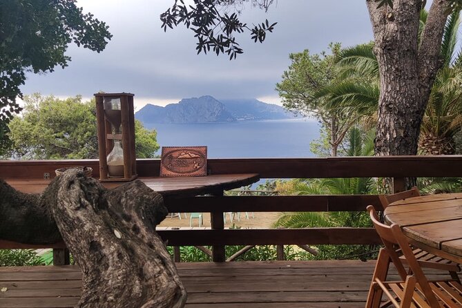 Naples port tour Sorrento and pompeii and overview of positano - What the $708.90 price really buys