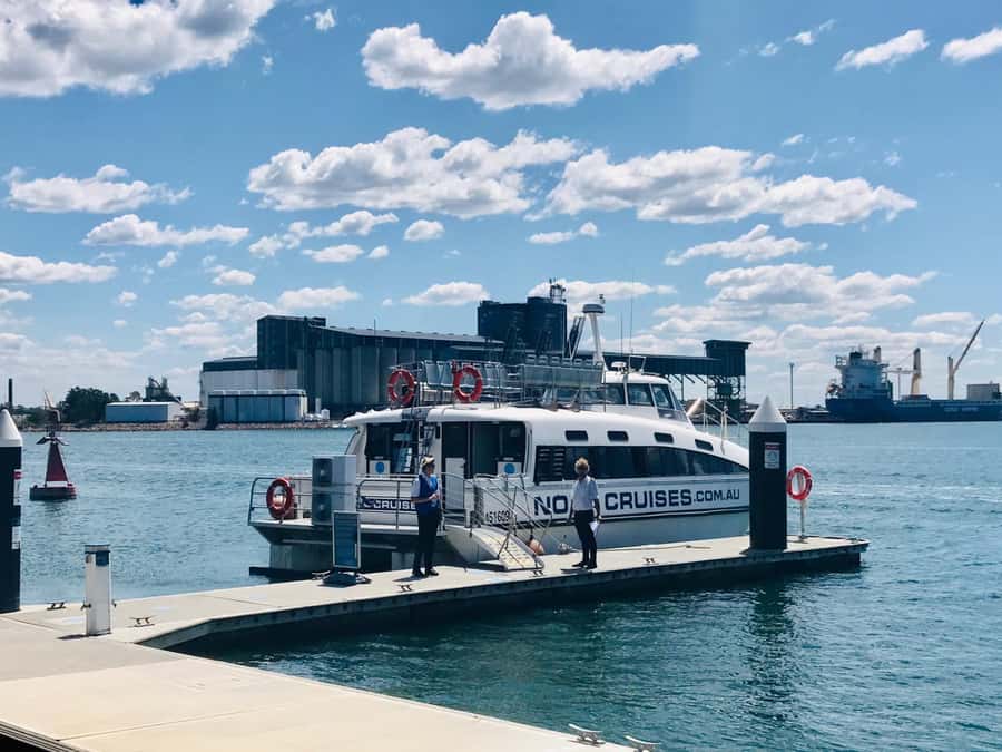 Newcastle: Humpback Whale Watching Cruise and Harbor Tour - Choosing between the indoor cabin and upper deck