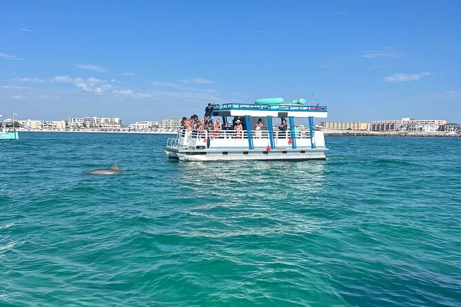One Hour Harbor Shared Tour with Dolphin Watching - A one-hour look at Destin Harbor