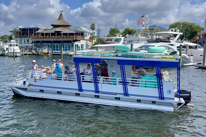 One Hour Harbor Shared Tour with Dolphin Watching - Weather, cancellations, and the practical fine print