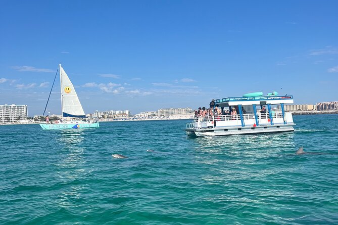 One Hour Harbor Shared Tour with Dolphin Watching - Who will get the most from this cruise