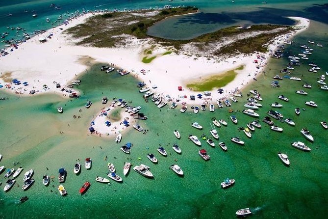 Orange Beach 1.5-Hour Bay Cruise - Wildlife, homes, boats, and the chance to swim