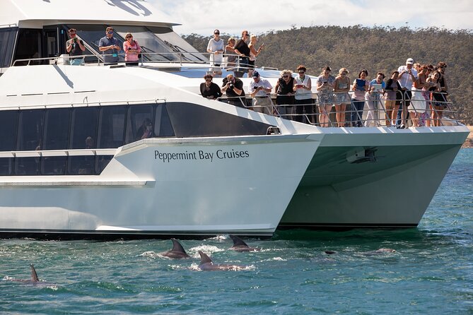 Peppermint Bay Cruise & Lunch - A waterborne day from Hobart to Peppermint Bay