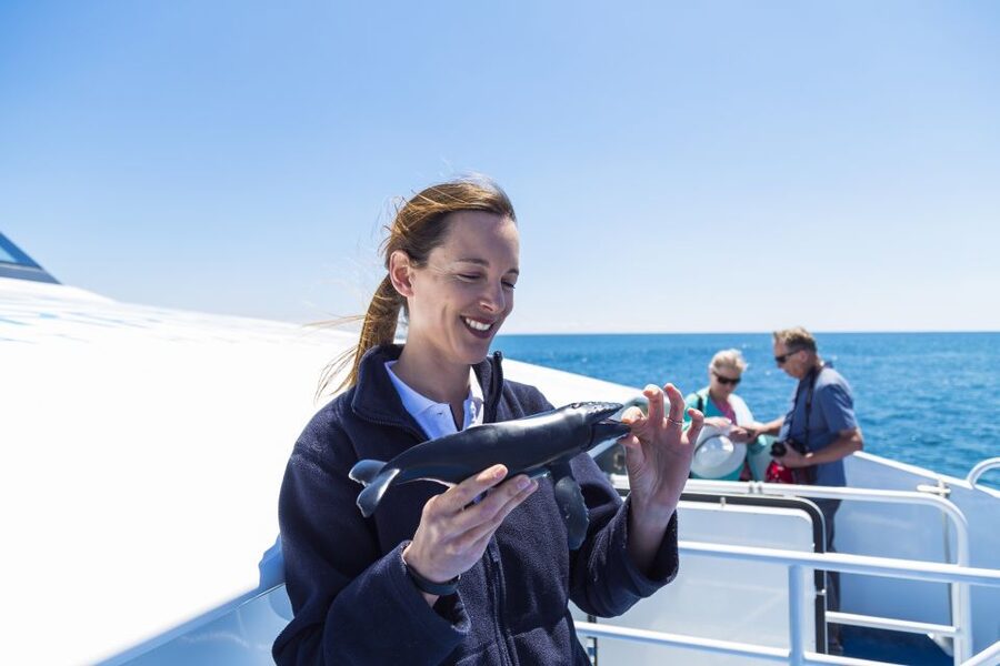 Perth: Whale Watching Cruise from Hillarys Boat Harbour - What the strongest sightings can look like