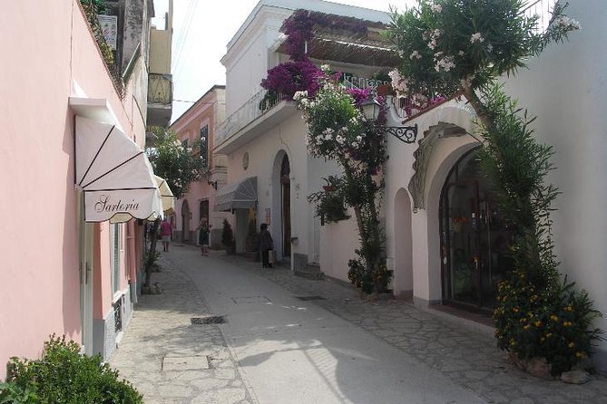 Pompeii and Amalfi Coast Port Tour (Driver Only/Self Touring) - Positano on the Amalfi Coast