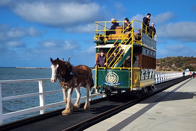 Premium Victor Harbor, Port Elliot and d'Arenberg Minibus Tour - Key points to know before booking