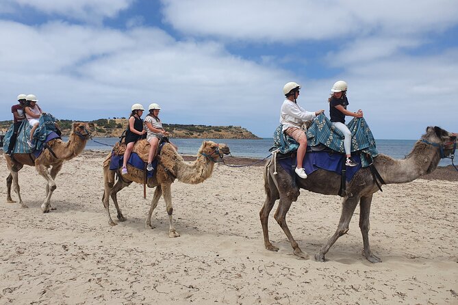 Premium Victor Harbor, Port Elliot and d'Arenberg Minibus Tour - A full South Coast day from Adelaide
