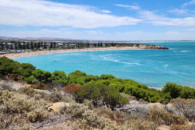 Premium Victor Harbor, Port Elliot and d'Arenberg Minibus Tour - Boomer Beach and the chance of a seal