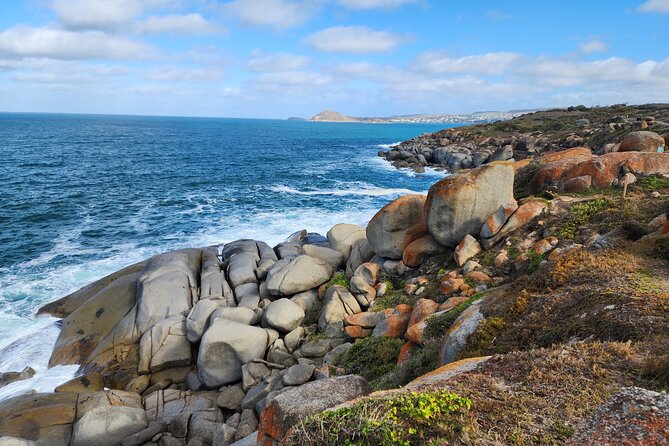 Premium Victor Harbor, Port Elliot and d'Arenberg Minibus Tour - What the minibus setup means for your day
