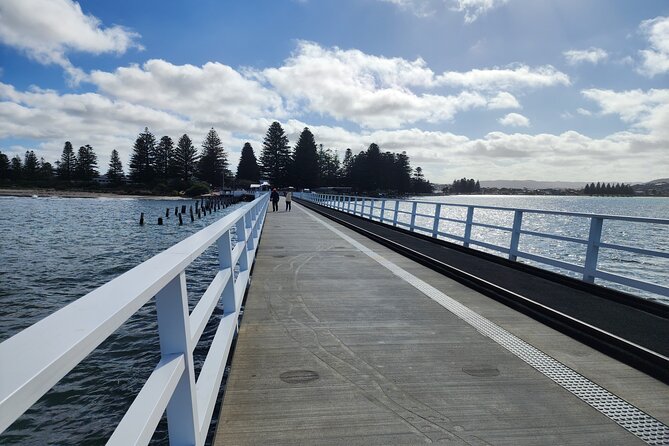 Premium Victor Harbor, Port Elliot and d'Arenberg Minibus Tour - McLaren Vale Visitor Centre for a gentle start