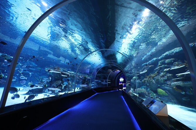 Private Hamad Port Tour in Mesaieed |Aquarium |Maritime Museum - Key points to know before you book