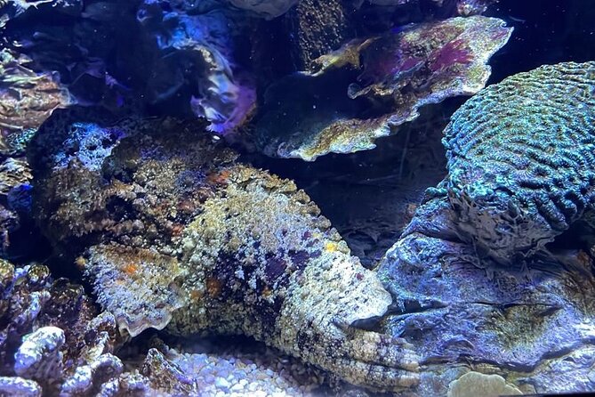 Private Hamad Port Tour in Mesaieed |Aquarium |Maritime Museum - Is $155 a fair price?